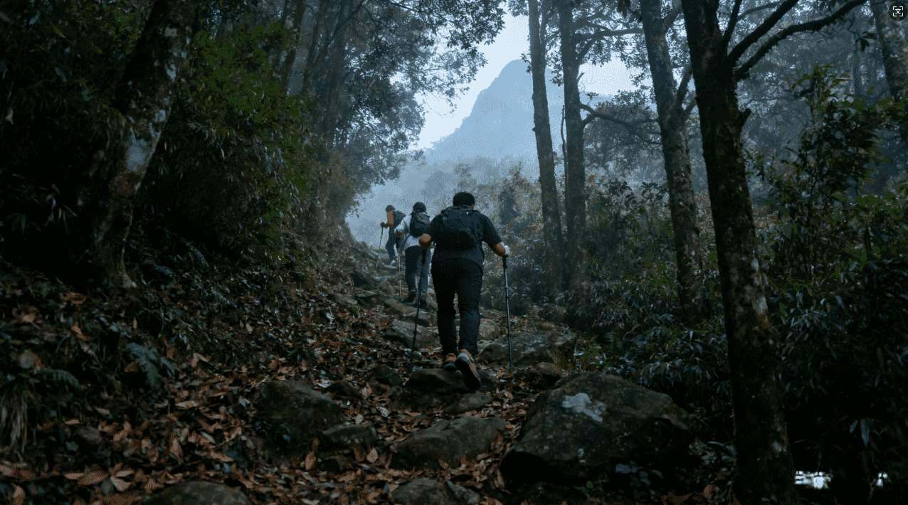 哪些便宜的梯子加速器既快又稳定值得选择